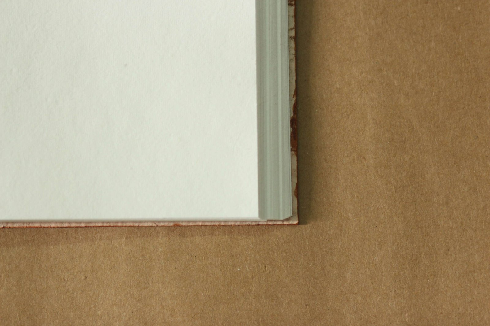 Diary - Image 2